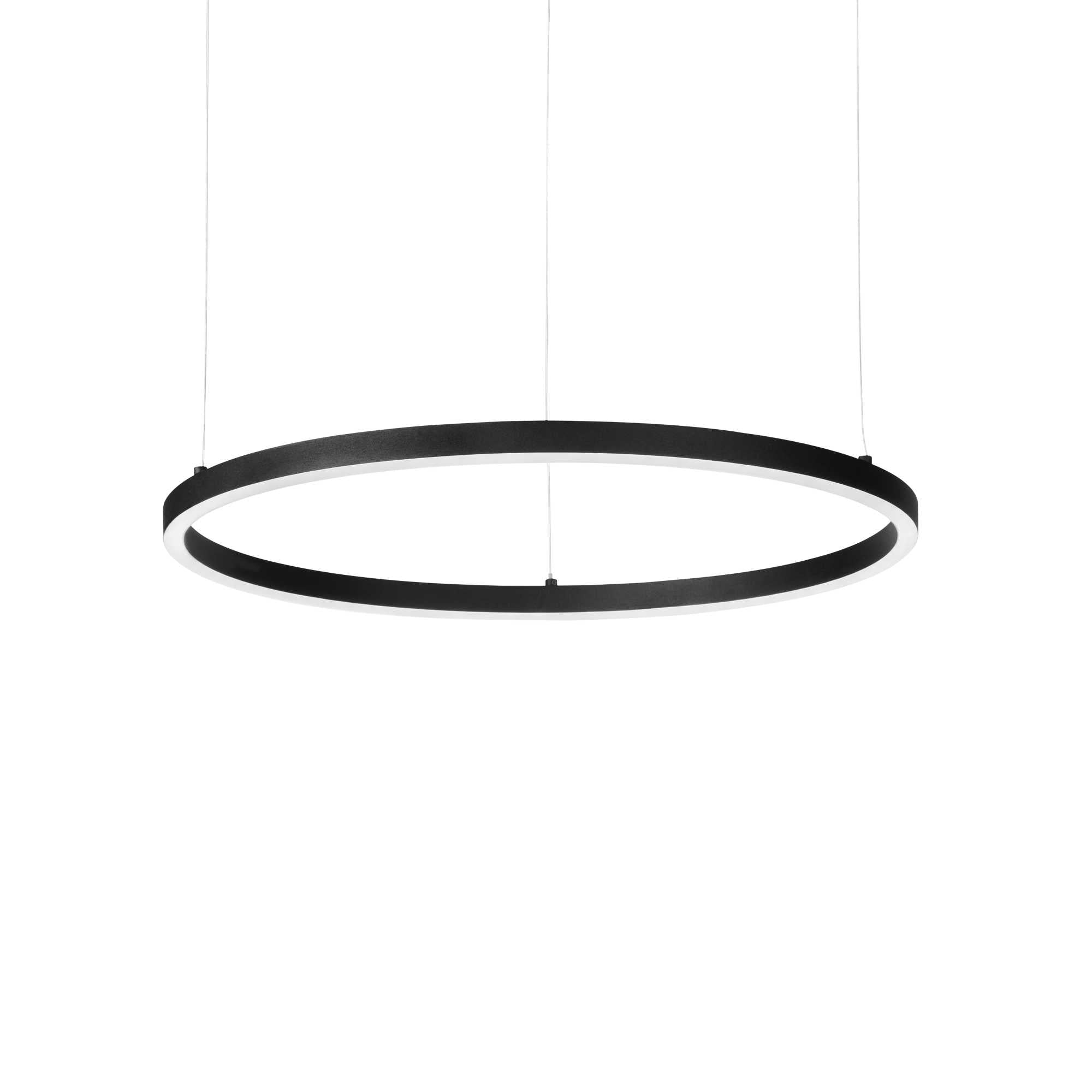 Contemporary Metal Suspended Ring Light