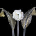 Rezzonico Style 5 Lights Crystal and Gold Glass Wall Sconce