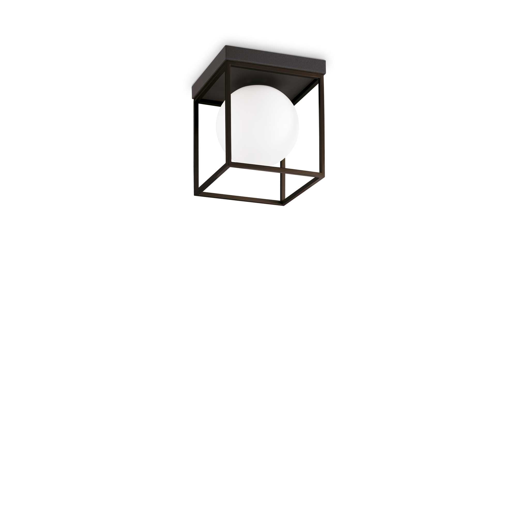 black caged ceiling lamp