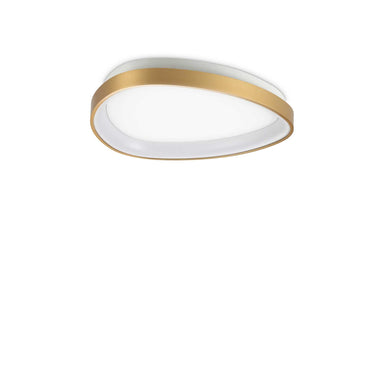 Modern Metal Ring Ceiling Light