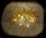 Modern art glass chandelier in crystal and gold